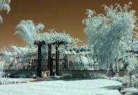 IR Yard�